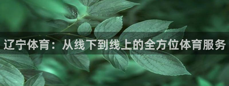 西瓜看球app下载：辽宁体育：从线下到线上的全方位体育服务
