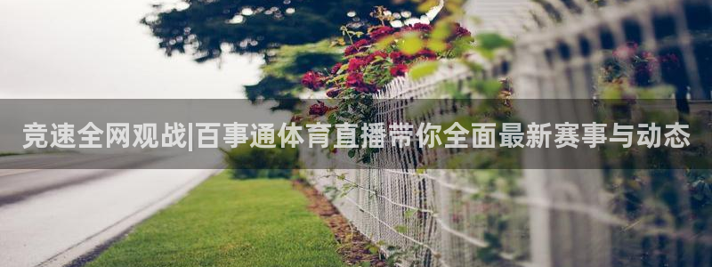 西瓜看球直播app官网入口：竞速全网观战|百事通体育直播带你全面最新赛事与动态