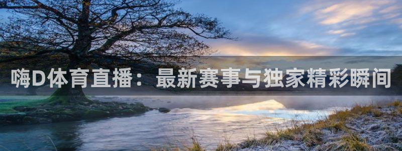 西瓜看球app最新版本更新内容：嗨D体育直播：最新赛事与独家精彩瞬间