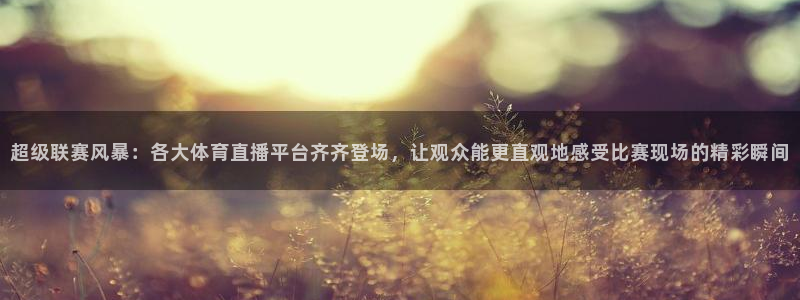 nba西瓜看球直播免费观看：超级联赛风暴：各大体育直播平台齐齐登场，让观众能更直观地感受比赛现场的精彩瞬间