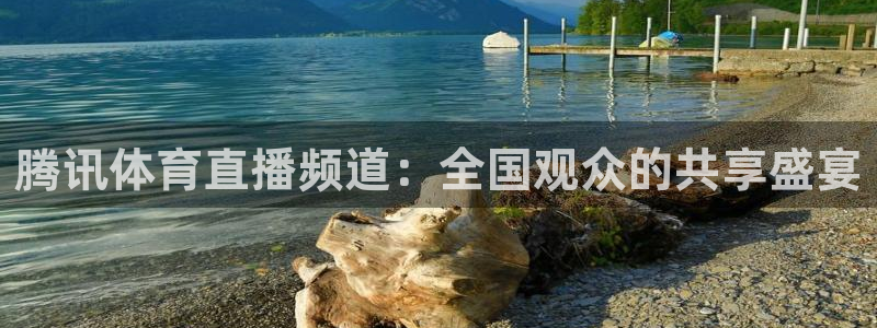 西瓜看球在线直播app：腾讯体育直播频道：全国观众的共享盛宴