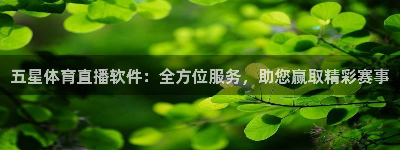 西瓜看球官网入口登录：五星体育直播软件：全方位服务，助您赢取精彩赛事