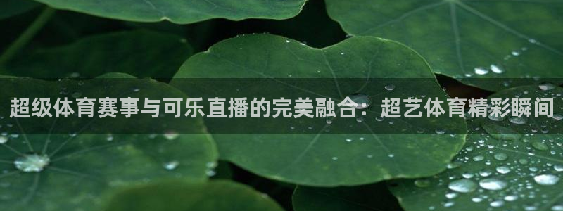 西瓜看球直播网址：超级体育赛事与可乐直播的完美融合：超艺体育精彩瞬间