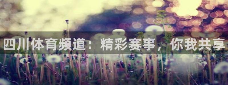 西瓜看球直播在线观看免费：四川体育频道：精彩赛事，你我共享