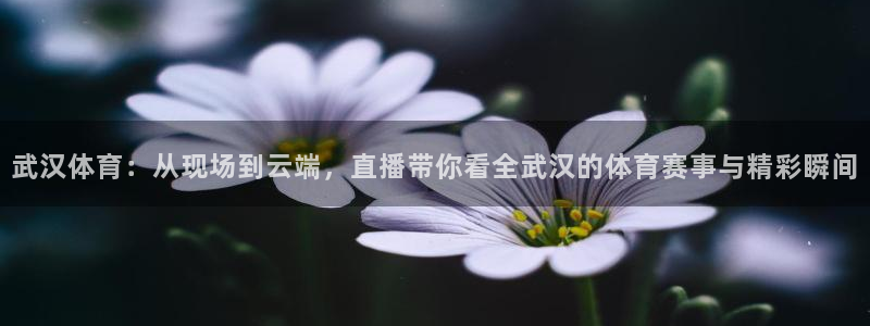 西瓜看球官网入口网址：武汉体育：从现场到云端，直播带你看全武汉的体育赛事与精彩瞬间