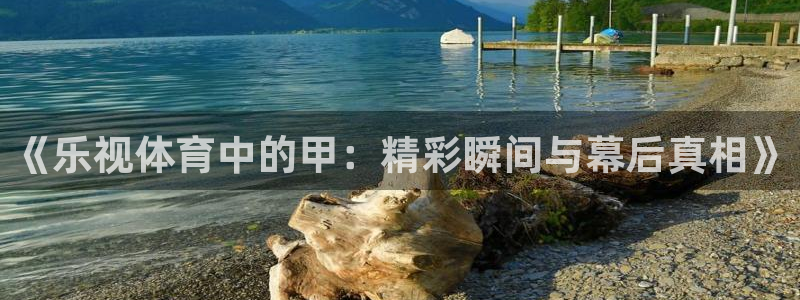西瓜看球直播在线观看：《乐视体育中的甲：精彩瞬间与幕后真相》