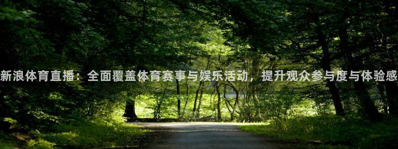 西瓜看球直播：新浪体育直播：全面覆盖体育赛事与娱乐活动，提升观众参与度与体验感