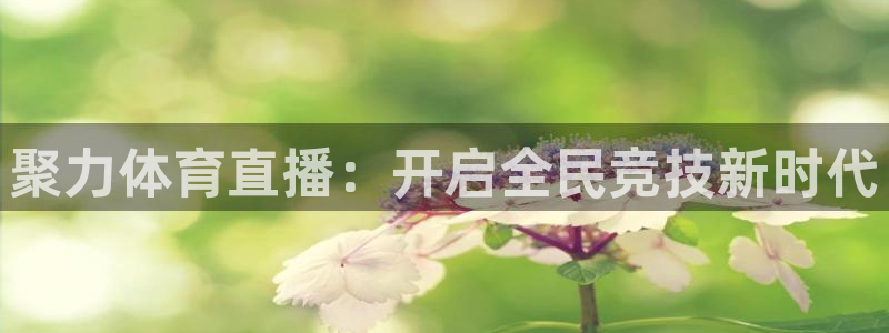 西瓜看球在线观看免费：聚力体育直播：开启全民竞技新时代