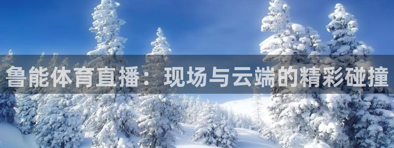 西瓜看球直播在线观看免费：鲁能体育直播：现场与云端的精彩碰撞